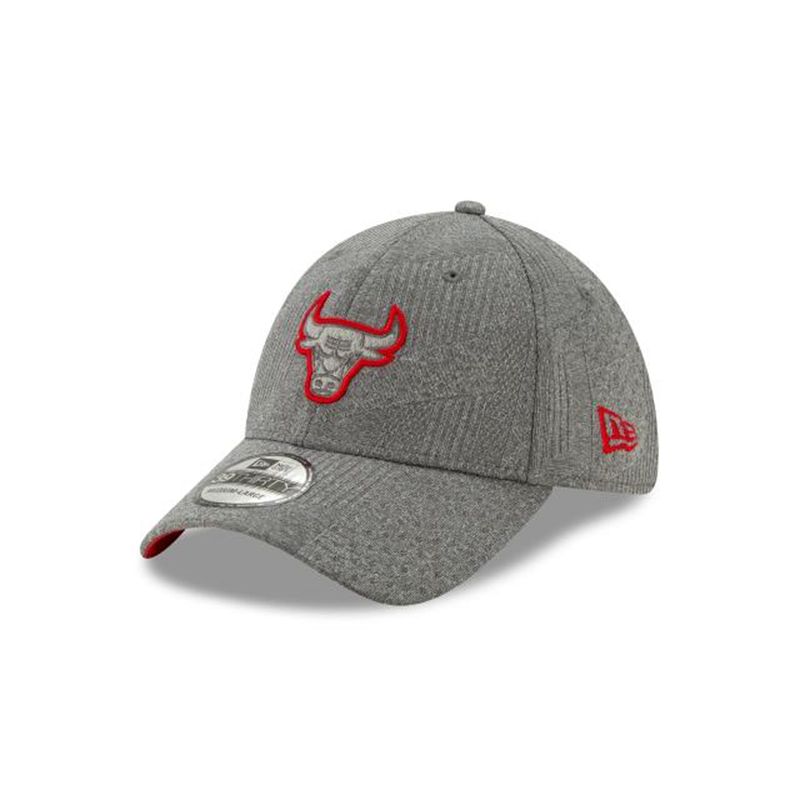 NBA Chicago Bulls Authentics Training Series 39Thirty Stretch Fit (PCU5970) - Grey New Era Caps